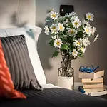 Guest house Fior Di Loto Sweetness 4*